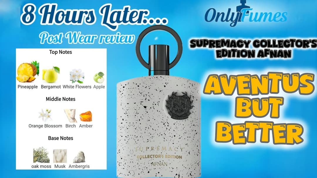 POST WEAR REVIEW| Supremacy Collector's Edition Afnan #afnan #perfume #fragrance #cologne #review 