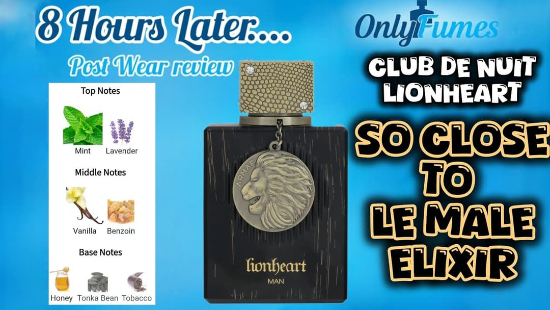 POST WEAR REVIEW| Club De Nuit Lionheart #clubdenuit #armaf #fragrance #perfume #cologne 