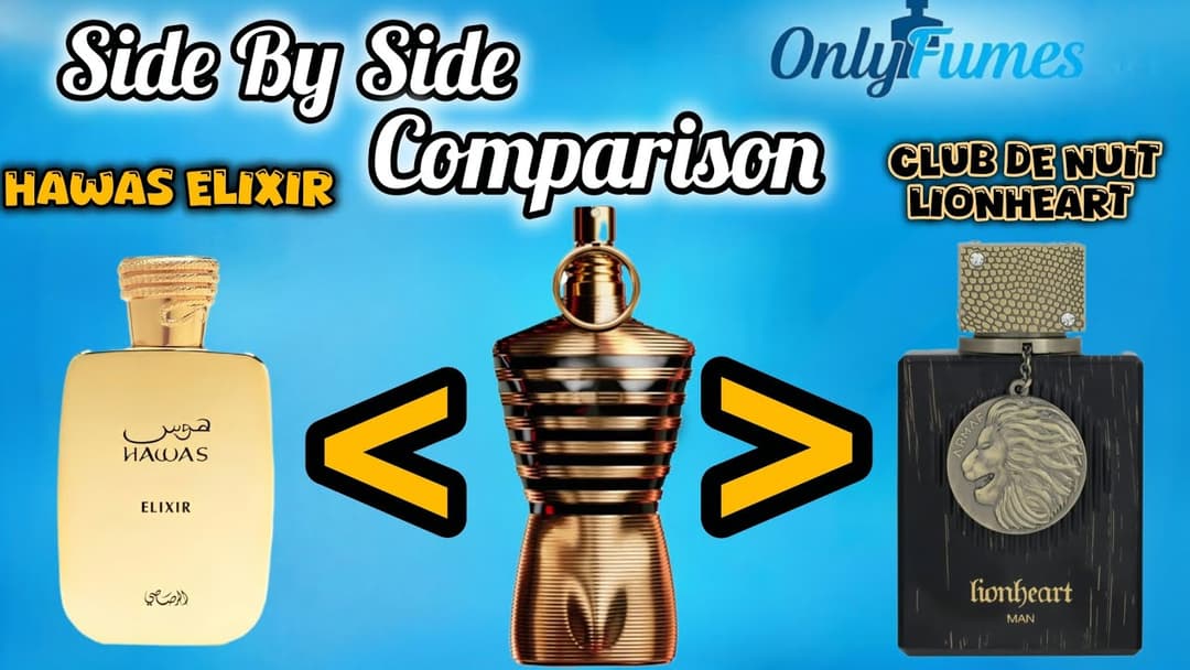 COMPARISON| Hawas Elixir vs Club De Nuit Lionheart #armafperfumes #rasasihawas #fragrance #cologne 
