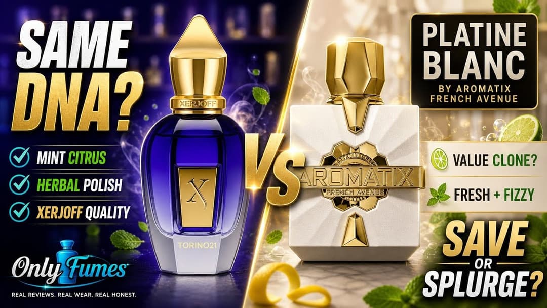 Aromatix Platine Blanc an alternative to Xerjoff Tonrino 21 Comparison Review #fragrance #aromatix 