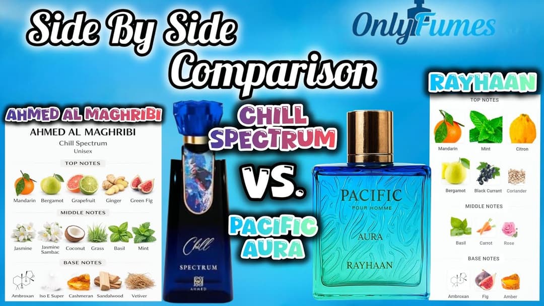 Rayhaan Pacific Aura vs Chill Spectrum | Summer Rotation Decider