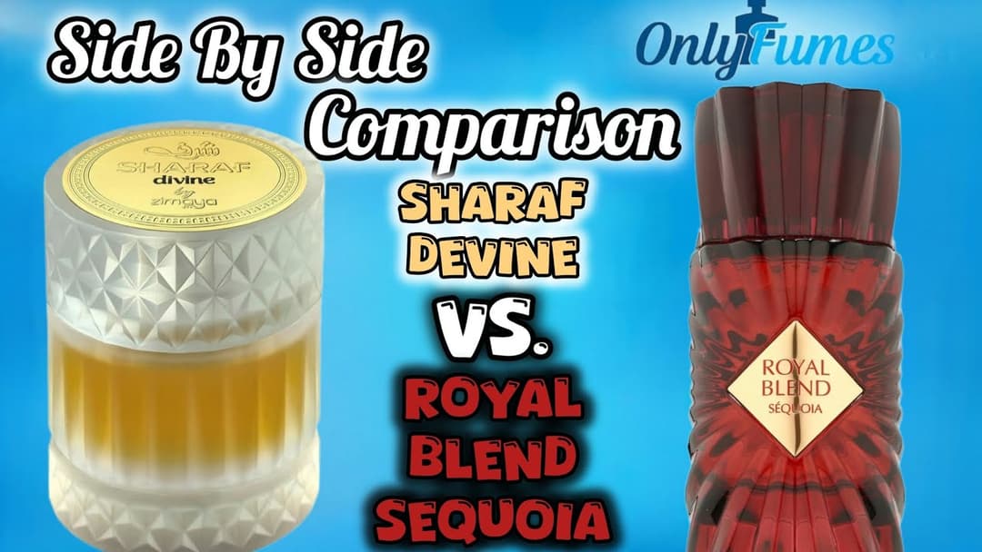 COMPARISON| Sharaf Divine Zimaya vs Royal Blend Sequoia French Avenue #fragrance #frenchavenue 
