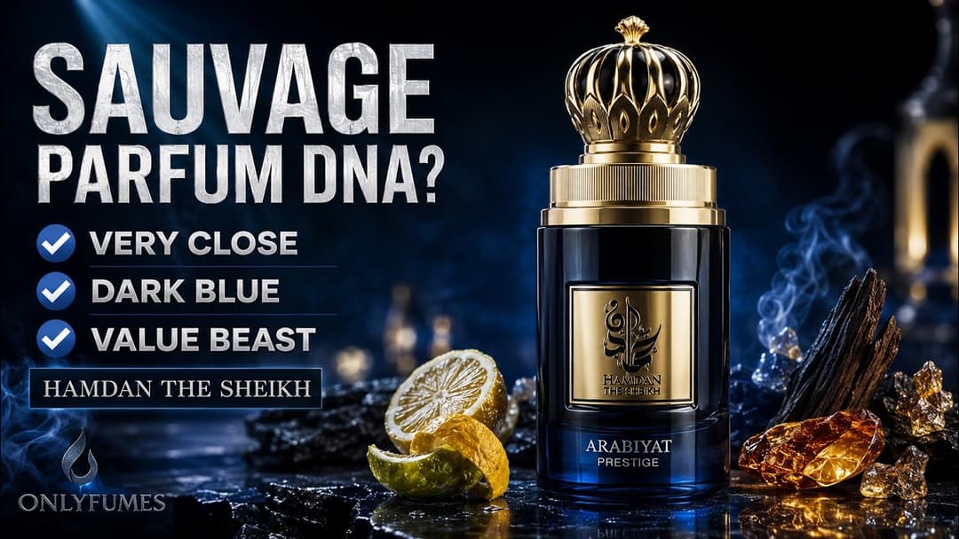 Hamdan The Sheikh Arabiyat Prestige Review - Best Sauvage Parfum Alternative? #perfume #fragrance