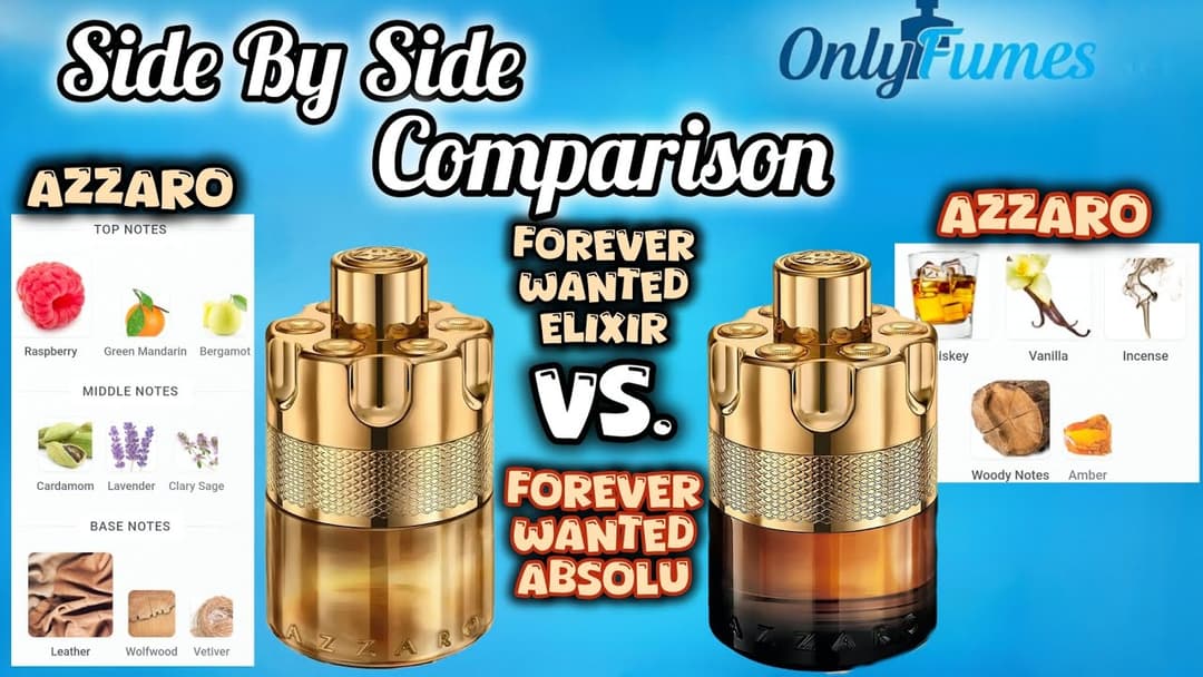 Azzaro Forever Wanted Elixir vs Forever Wanted Absolu Full Comparison #azzaro #fragrance