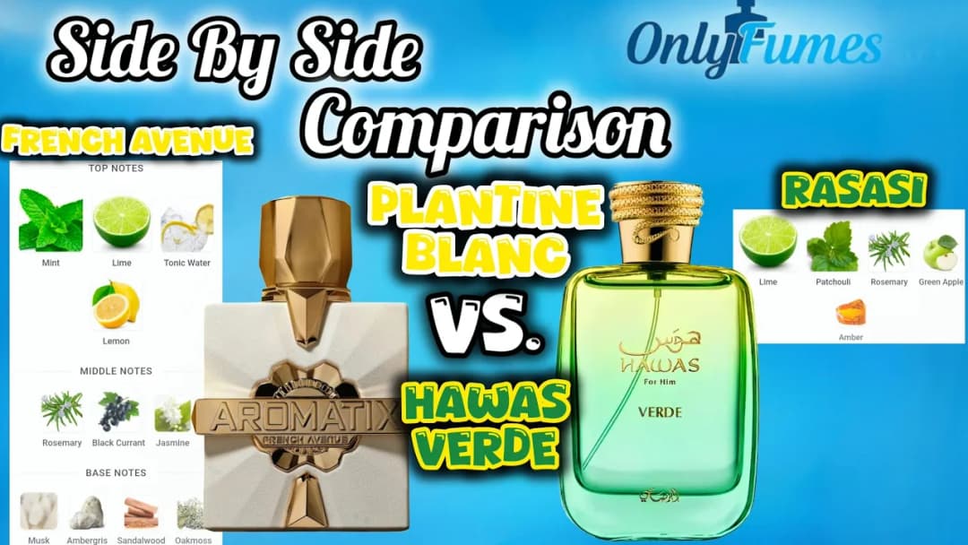 Aromatix X French Avenue Platine Blanc vs Rasasi Hawas Verde – The Better Fresh King?