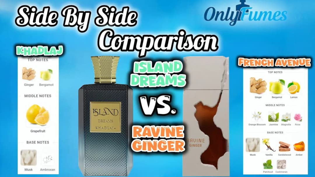 Khadlaj Island Dreams vs French Avenue Ravine Ginger Comparison Review #fragrance #frenchavenue