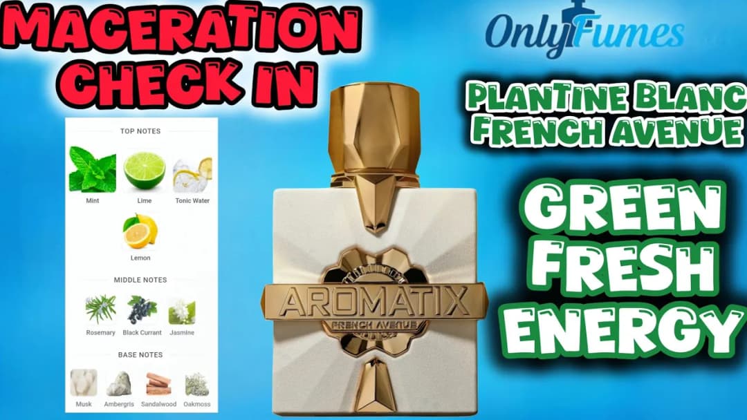 Aromatix X French Avenue Platine Blanc After Maceration Changes Everything #fragrance #frenchavenue