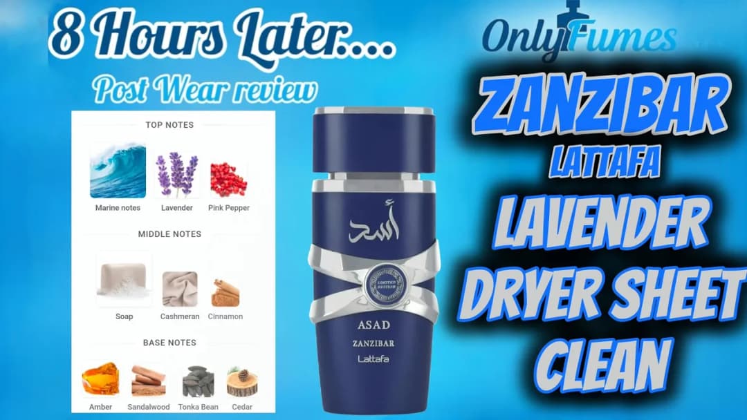 Lattafa Asad Zanzibar Limited Edition Dry Down & Post Wear Review #lattafa #cologne #fragrance