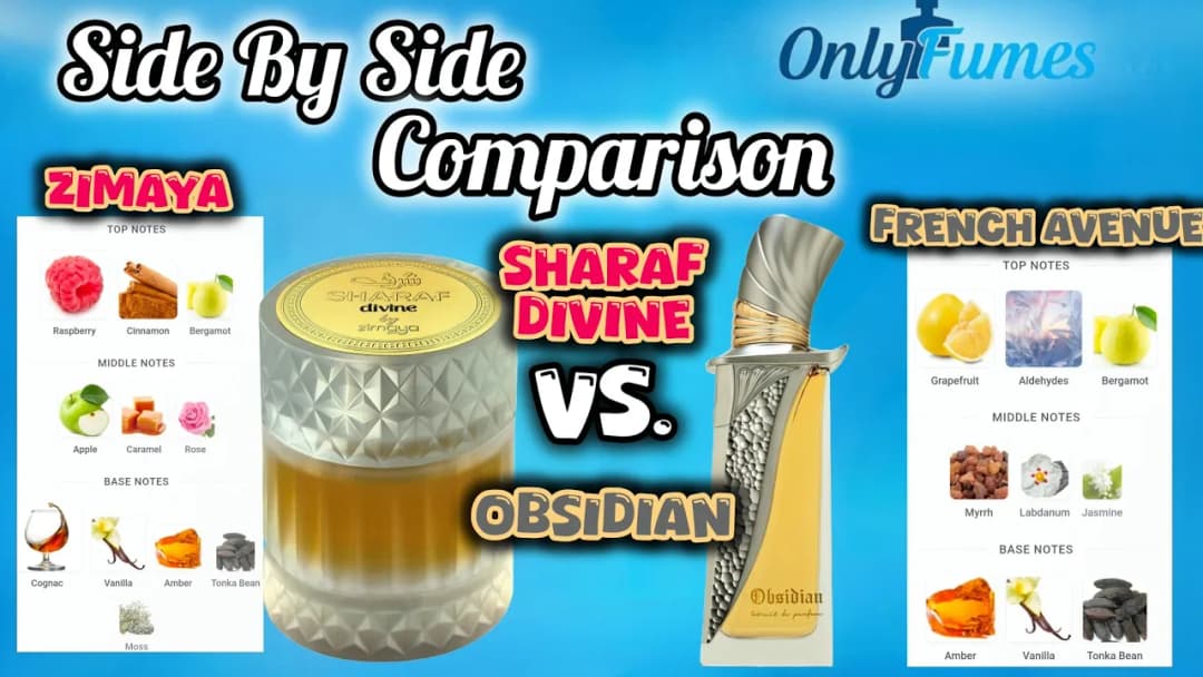 Zimaya Sharaf Divine vs French Avenue Obsidian Full Comparison Review-Fruity Sweet vs Amber Citrus